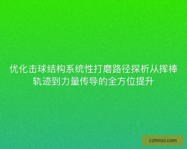 优化击球结构系统性打磨路径探析从挥棒轨迹到力量传导的全方位提升