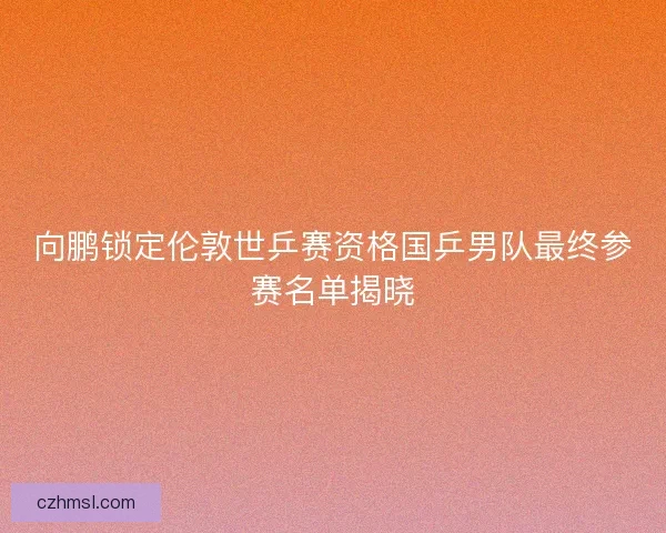 向鹏锁定伦敦世乒赛资格国乒男队最终参赛名单揭晓